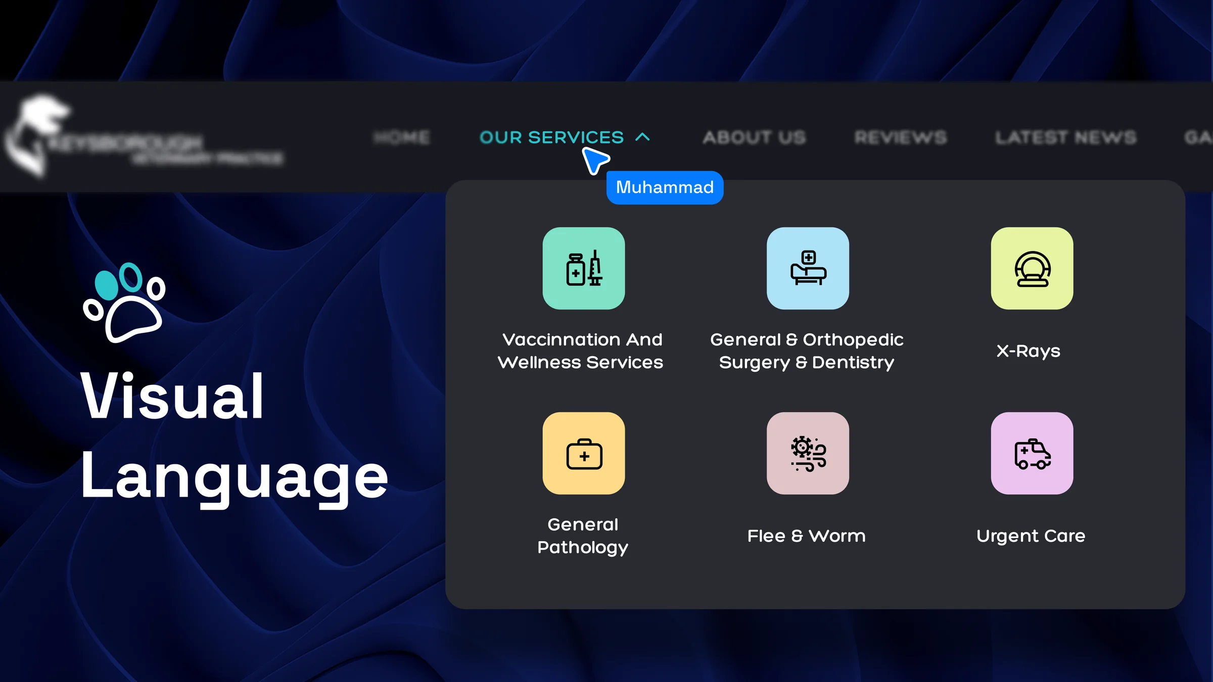 Visual language: the services menu with icons