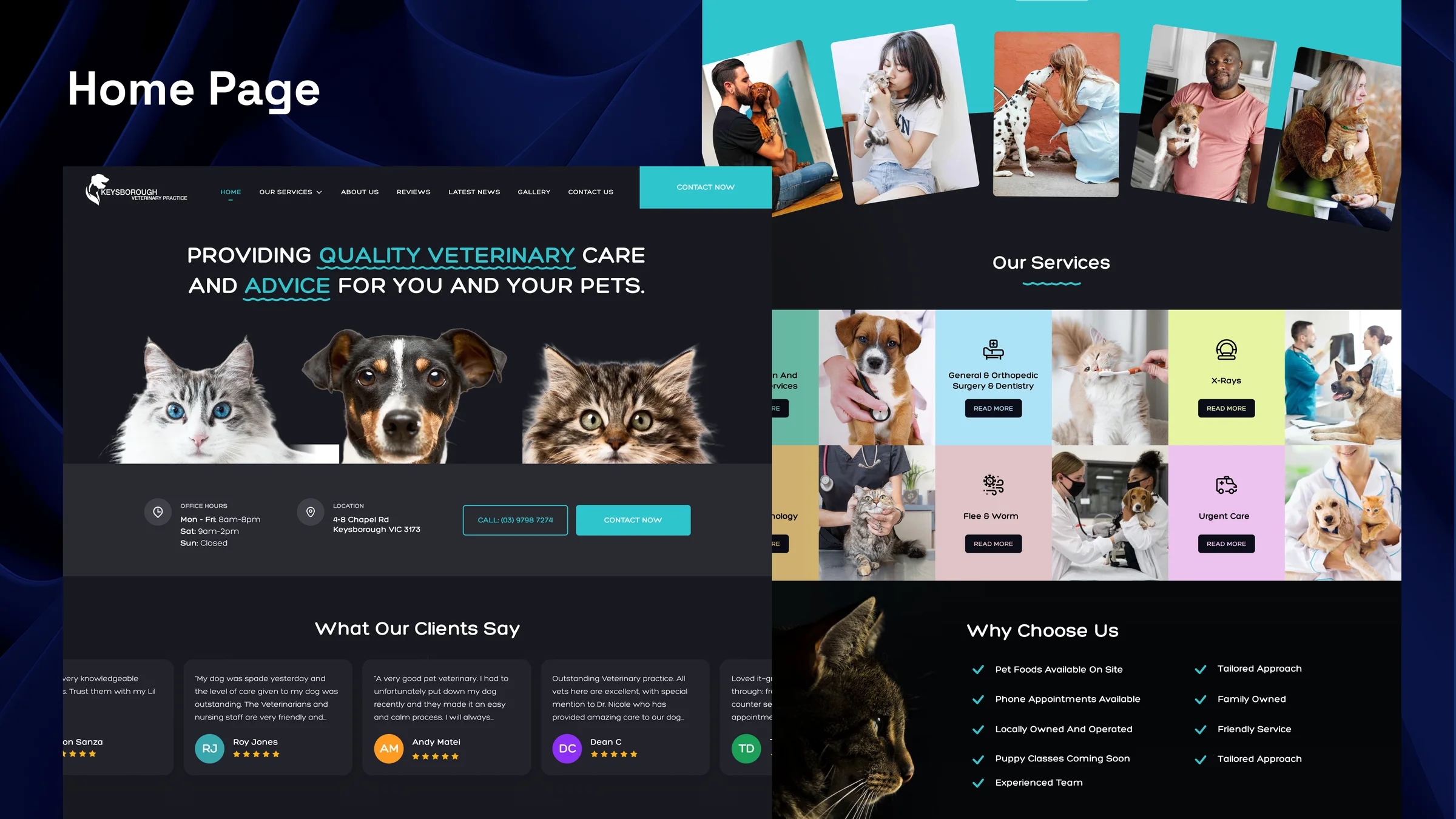 The home page