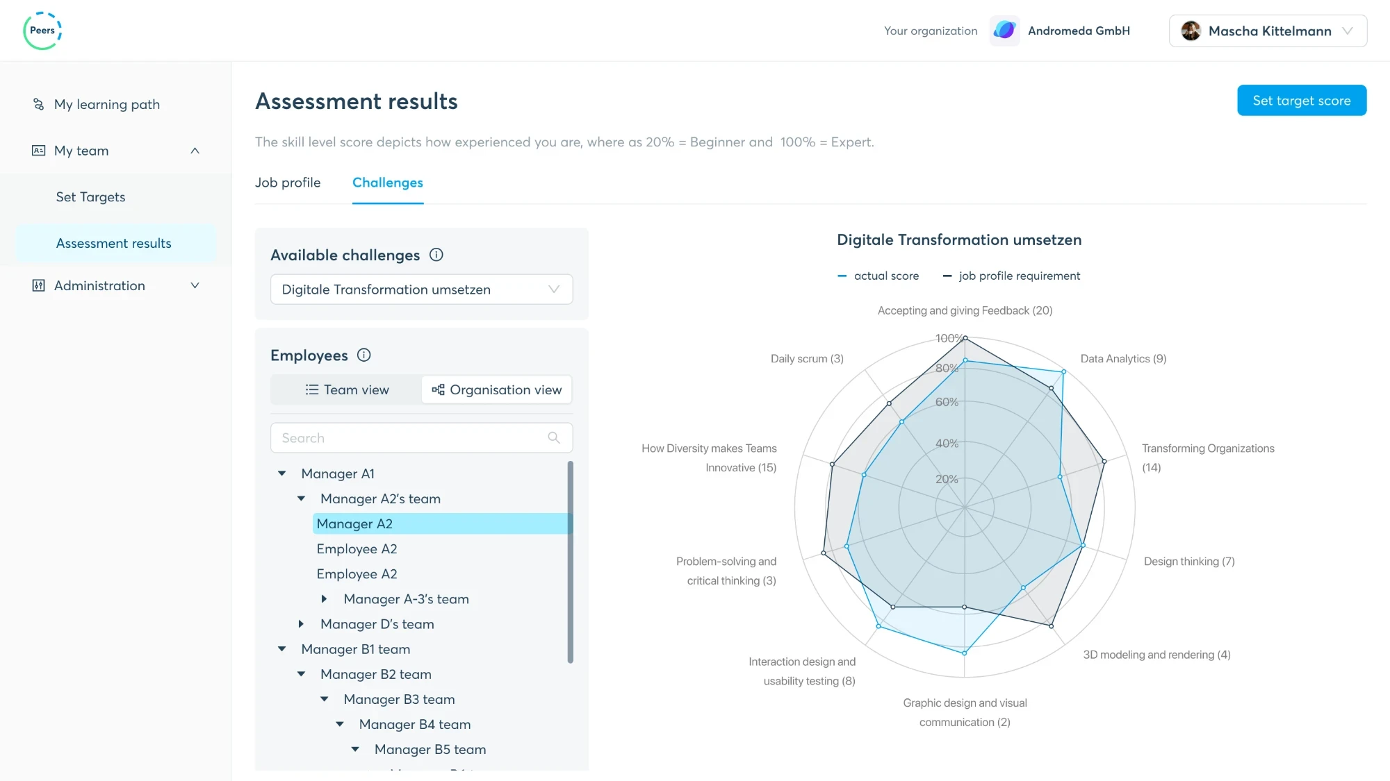 Assessment results: the available challenges, the employee tree and the radar chart