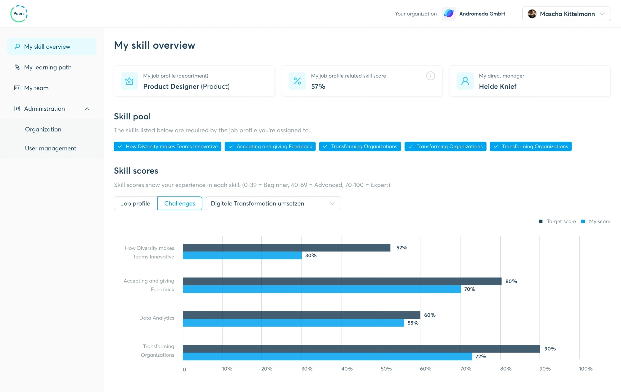 My skill overview: skill scores as target and own score bars, with the Beginner, Advanced and Expert bands
