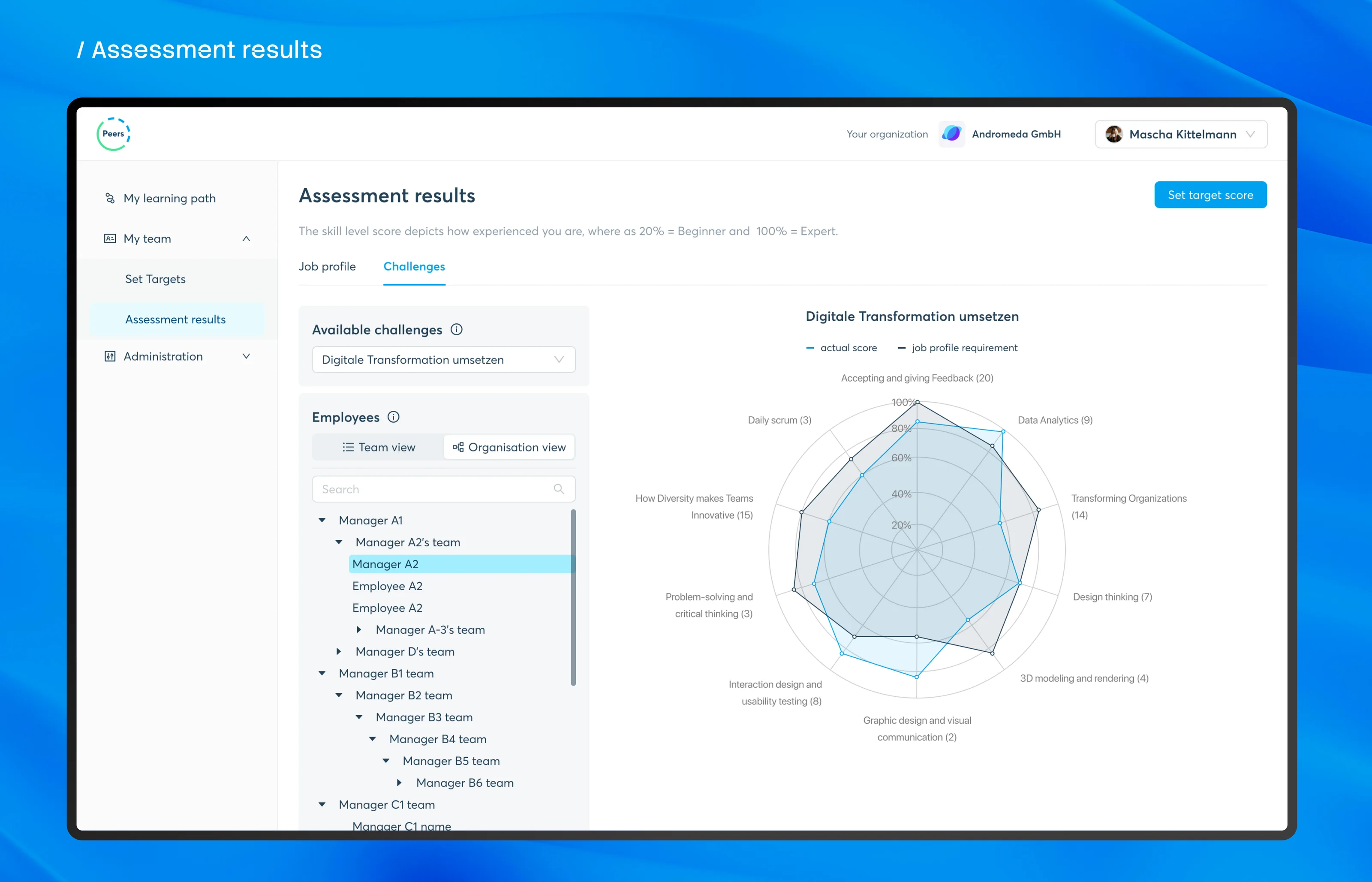 Assessment results: the radar chart with the organisation tree